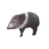 Delta Mckenzie 3D Backyard - Javelina -Archery Equipment Store DEL030