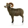 Delta Mckenzie 3D Pro Series - Bighorn Sheep 1 Delta Mckenzie 3D Pro Series - Bighorn Sheep -Archery Equipment Store DEL053