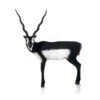 Delta Mckenzie 3D Pro Series - Black Buck 1 Delta Mckenzie 3D Pro Series - Black Buck -Archery Equipment Store DEL062