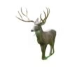 Natur Foam 3D Target - White Tail 2 Natur Foam 3D Target - White Tail -Archery Equipment Store NAT068