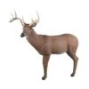 Rinehart 3D Target - Big Ten Buck -Archery Equipment Store RIN061