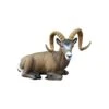 SRT 3D Target - Rocky Mountain Sheep Bedded 1 SRT 3D Target - Rocky Mountain Sheep Bedded -Archery Equipment Store SRT065