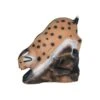 Wildlife 3D Target - Bobcat On Rock -Archery Equipment Store WIL021