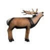 Wildlife 3D Target - Deer Belling -Archery Equipment Store WIL039