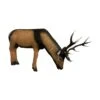 Wildlife 3D Target - Deer Drinking -Archery Equipment Store WIL041