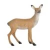 Bearpaw Franzbogen 3D Target - Doe -Archery Equipment Store bpa348