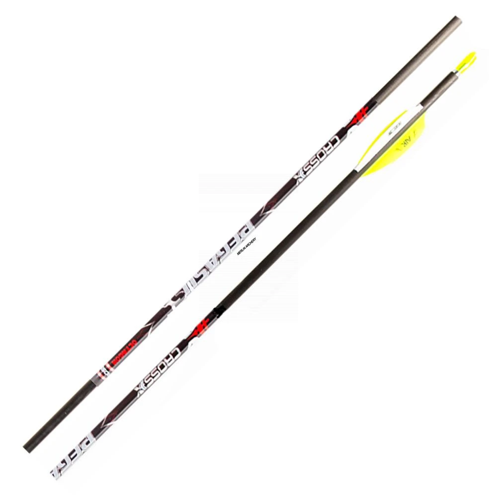 Cross-X Pegasus Octagon Arrows 3 Cross-X Pegasus Octagon Arrows